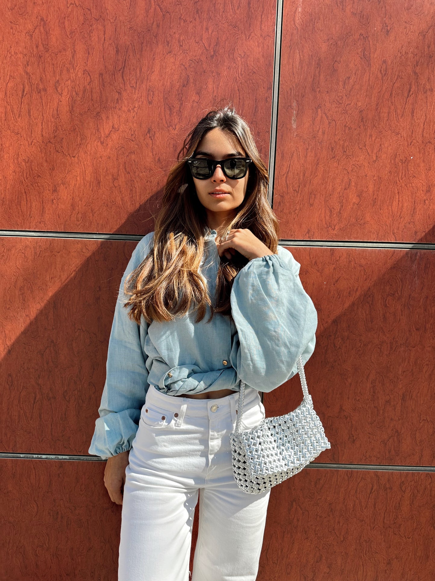 SILVER BAG
